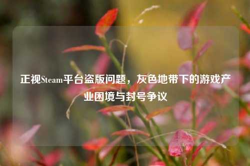 正视Steam平台盗版问题,灰色地带下的游戏产业困境与封号争议