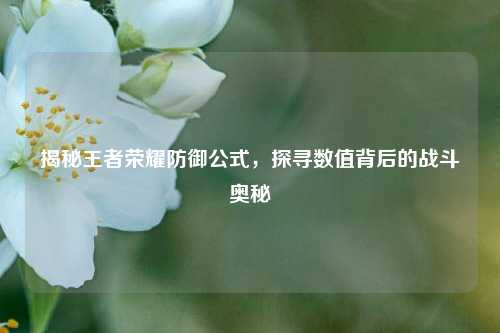 揭秘王者荣耀防御公式,探寻数值背后的战斗奥秘