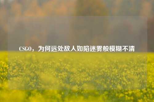 CSGO,为何远处敌人如陷迷雾般模糊不清