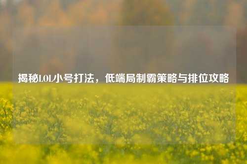 揭秘LOL小号打法,低端局制霸策略与排位攻略