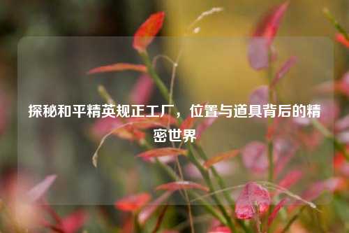 探秘和平精英规正工厂,位置与道具背后的精密世界