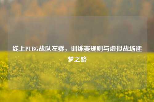 线上PUBG战队左雾,训练赛规则与虚拟战场逐梦之路
