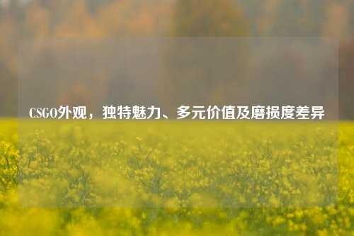 CSGO外观,独特魅力、多元价值及磨损度差异