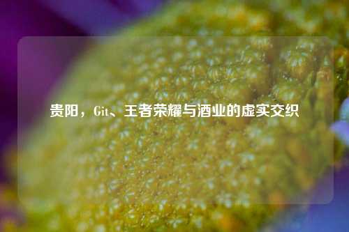 贵阳,Git、王者荣耀与酒业的虚实交织