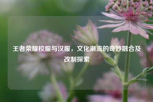 王者荣耀校服与汉服,文化潮流的奇妙融合及改制探索