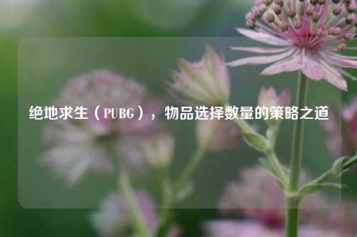 绝地求生(PUBG),物品选择数量的策略之道