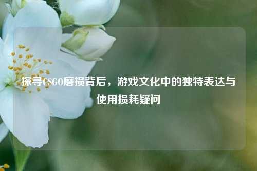 探寻CSGO磨损背后,游戏文化中的独特表达与使用损耗疑问