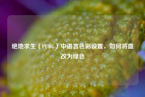 绝地求生(PUBG)中语言色彩设置,如何将血改为绿色