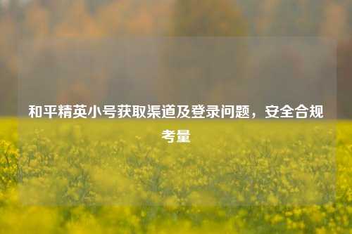 和平精英小号获取渠道及登录问题，安全合规考量